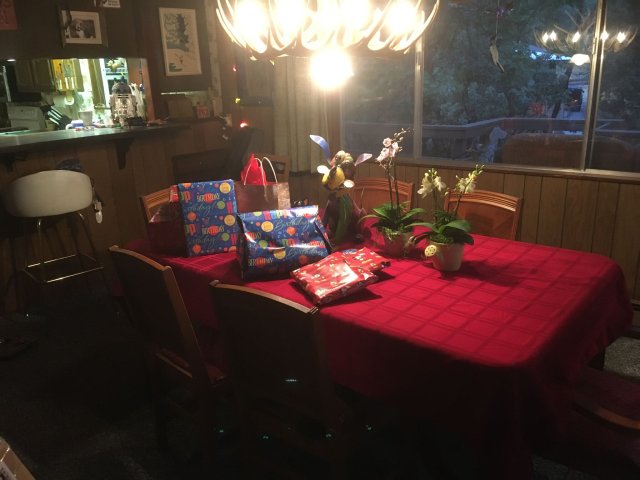 Melissa's birthday